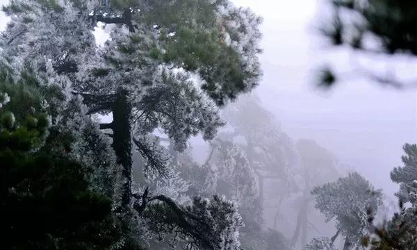 蝙蝠侠内敌